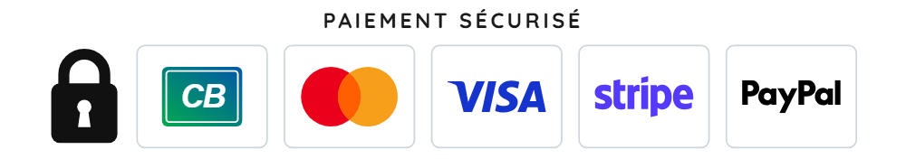 paiement securise 1000